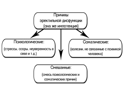 Megelőzés impotencia, hogyan kell tartani a férfi ereje a régi kor, a fő ajánlások (öregségi) Megelőzés impotencia, hogyan kell tartani a férfi ereje a régi kor, a fő ajánlások
