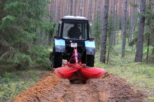 Профілактика лісових пожеж