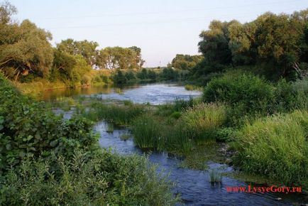 річка ведмедиця