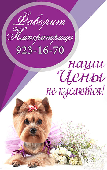 Салон краси для тварин - фаворит імператриці - в московському районі спб