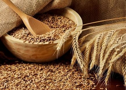 Самогон з пшениці види і рецепти виготовлення