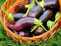 Secretele legumelor delicioase murate, semifabricatelor (gospodării)