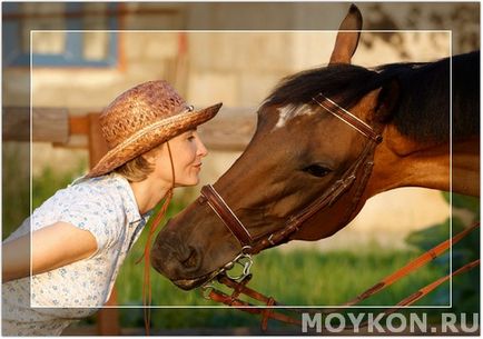 Cât costă să cumpăr și să păstrez un cal în Rusia, calul meu