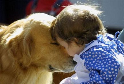 Kutya és gyerek első találkozás, novella hosszú tacskó