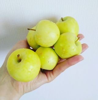 Kutya podglyadaka - s képeket @adaka Instagram fiók (motiváció előrelépés életmód) Kutya podglyadaka - s képeket @adaka Instagram fiók