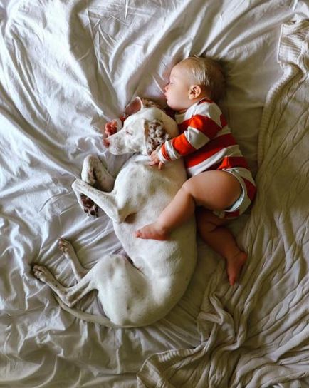 Собака, врятована від шкуродерів, тепер лягає спати поруч з немовлям