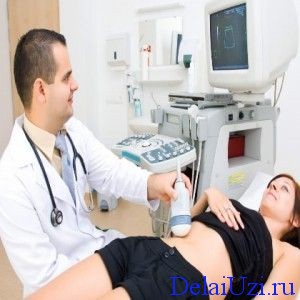 Терміни узі при вагітності