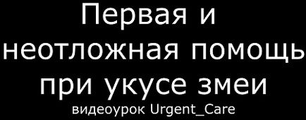 Стаціонарне лікування укусів змій