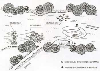 Сухий кашель з кров'ю що це