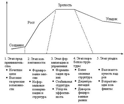 Организация теория - концепцията и етапи от жизнения цикъл на организацията