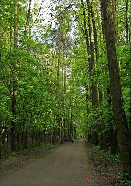 Тимирязевский лісопарк