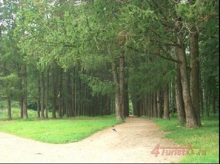 Timiryazevsky Forest Park