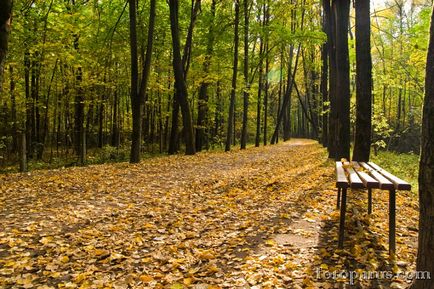 Timiryazevsky Forest Park