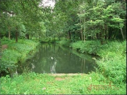 Timiryazevsky Forest Park