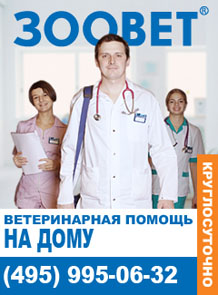 Fertőző (venereás) kutyákban szarkóma (Kaposi nemi tumor) Fertőző (venereás) szarkóma kutyákban