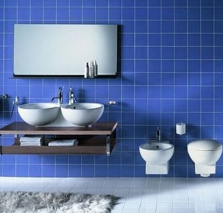 Toaletă cu instalație - fotografie în interior