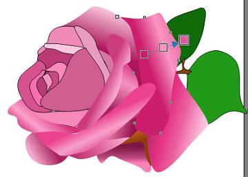 Coreldraw lecții decorative rose - coreldraw - produse software