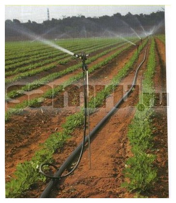 Gondozása burgonya - agrodelo (agrodelo) Gondozása burgonya - agrodelo
