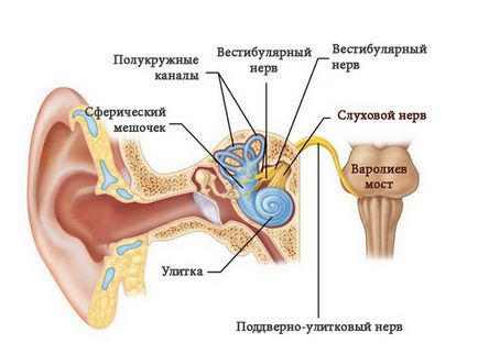 Vestibularis neuronok (neuritis optica) tünetek és a kezelés hatását, valós orvosok