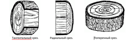 Tipuri de lemn și caracteristicile cherestelei