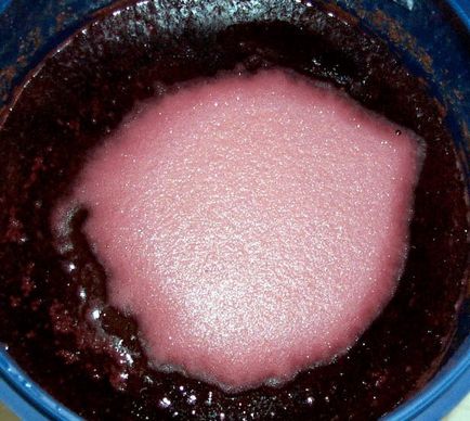 Bor szőlőből Lydia - egy egyszerű recept otthon (Lydia) Bor szőlőből Lydia - egy egyszerű recept otthon