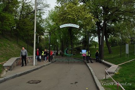 Expoziție de lalele la Kiev pe câmpul cântând