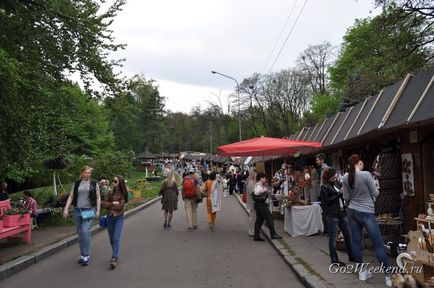 Expoziție de lalele de la Kiev pe câmpul cântând