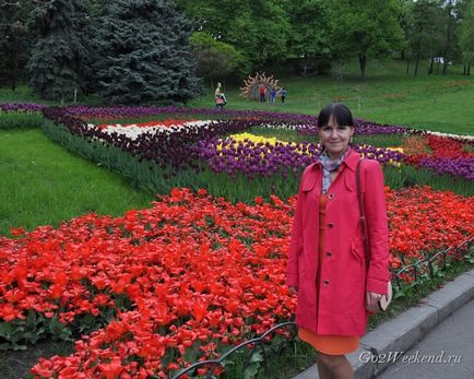 Kiállítás tulipánok Kijevben Song Festival Grounds