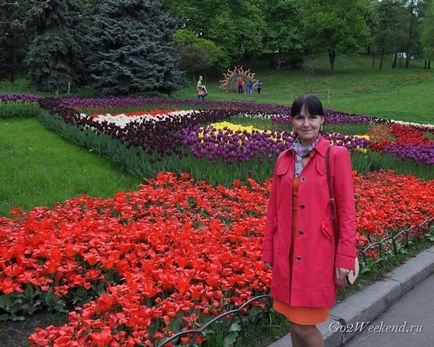 Виставка тюльпанів в киеве на співочому полі