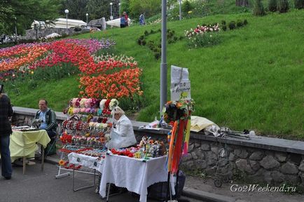 Expoziție de lalele la Kiev pe câmpul cântând