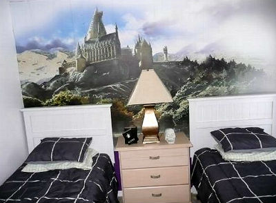 Sala magic în stilul lui Harry Potter (multe fotografii)