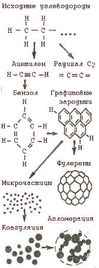 Чи шкідливий дим багаття