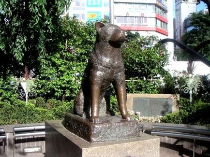 Hachiko - un simbol al iubirii și al devotamentului, le blog