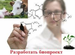 Chlorella pentru bovine, ekkseo