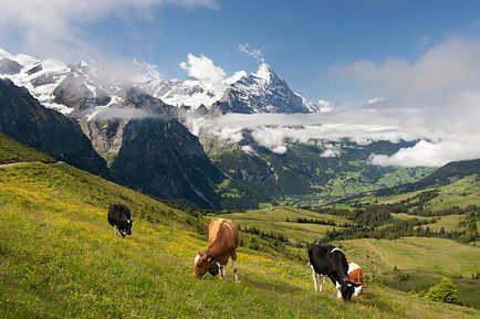 Jungfrau - ghid gratuit pentru călătorii