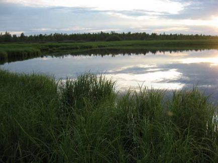 Pentru un echipament mare de pescuit crucian și modalități de capturare a crapului - pescuitul siberian