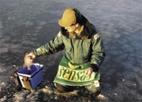 Життя під льодом або як зимують підводні мешканці - іхтіологія і все про риб, статті