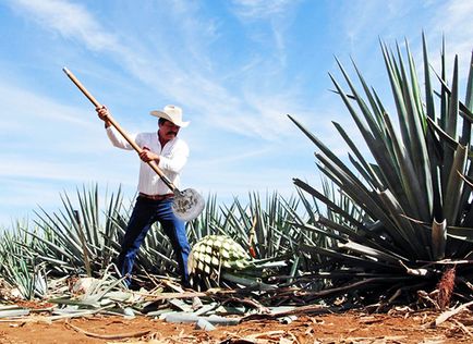 10 Самих поширених помилок про мексиці