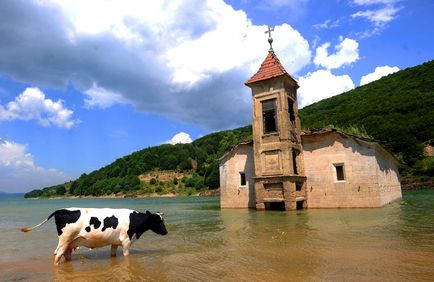 15 Дивних фактів про Македонії, balkan family