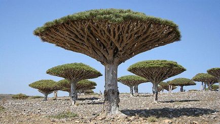 25 Cele mai frumoase și în același timp locuri izolate de pe planetă - știri în fotografii