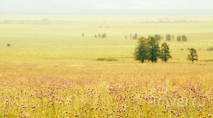 Altai cum să ajungă la shamballa