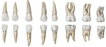 Anestezia în stomatologie