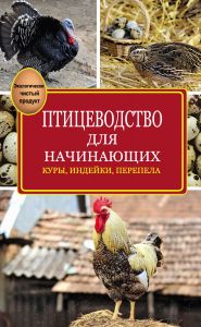 Асканійські кросбредного вівці (вівчарство породи)