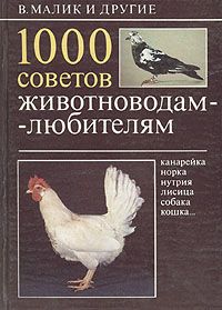 Асканійські кросбредного вівці (вівчарство породи)