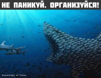 АСН, страхове співтовариство - пов'язаний агент або незалежний консультант