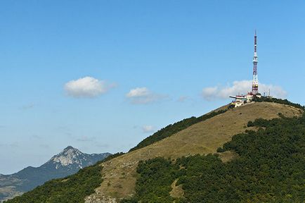 Бик, верблюд і сплячий лев