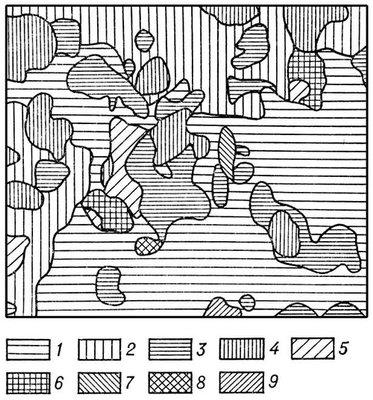 Biogeocoenosis - ez