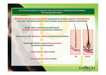 Biocon, kozmetikumok nagykereskedelme