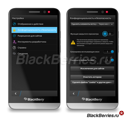 Browserul Blackberry 10 sfaturi pentru profesioniști, mure în Rusia