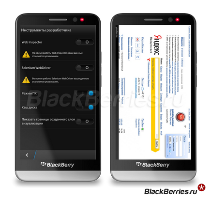 Browserul Blackberry 10 sfaturi pentru profesioniști, mure în Rusia